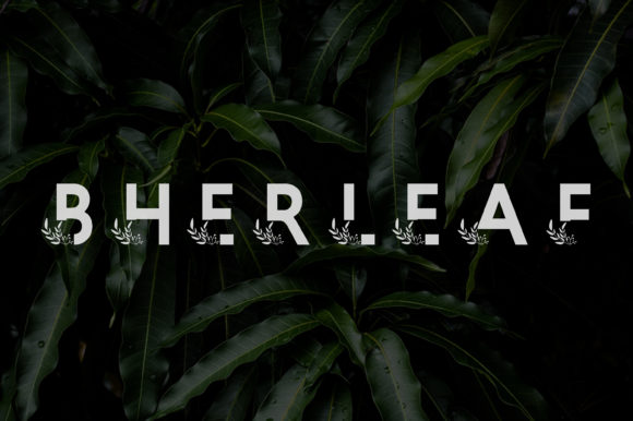 Bherleaf: A Bold Yet Delicate Decorative Font for Creative Branding