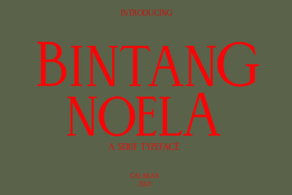 Bintang Noela: A Designer's Honest Review for Real Projects