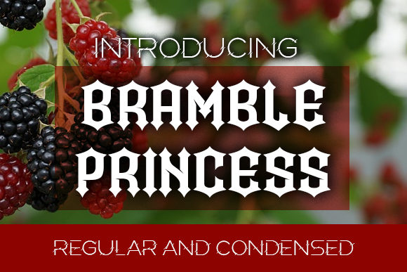 Bramble Princess: A Bold Blackletter Typeface for Editorial Design