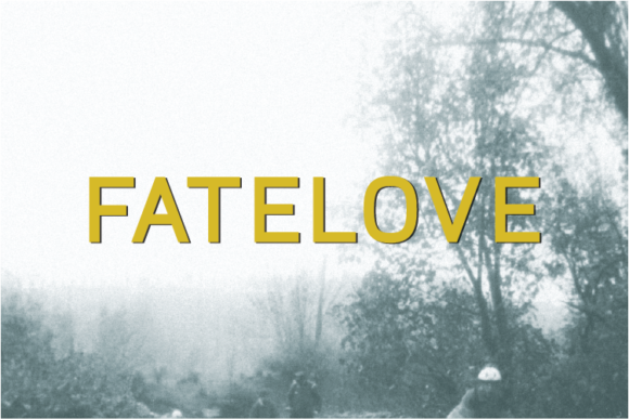 Fatelove: A Bold Sans Serif Typeface for Modern Editorial Design