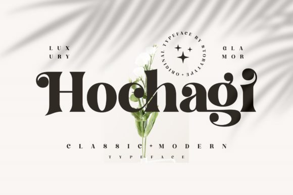 Hochagi: The Bold Serif Font That Elevates Small Business Branding