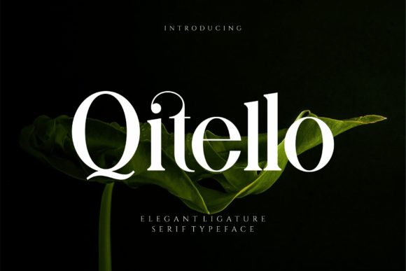 Qitello: A Bold Serif Typeface for Modern Web Design
