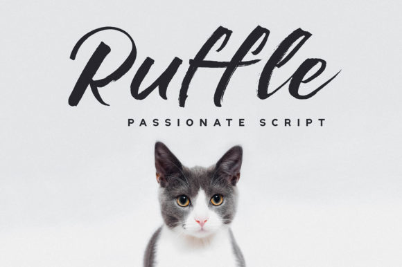 Ruffle: The Bold Script Font for Handmade Brands