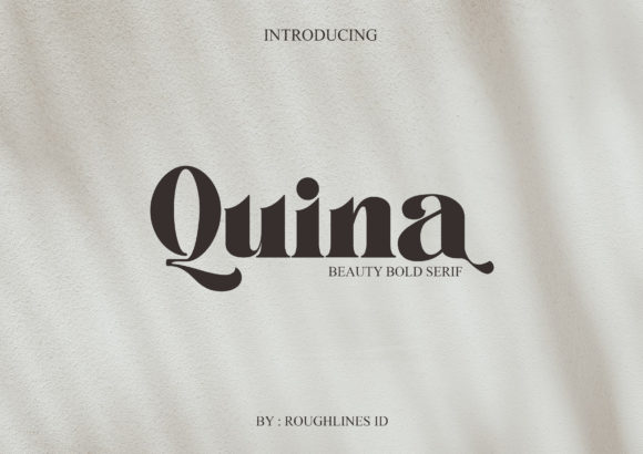 Why Quina Is the Bold Serif Font for Modern Web Design
